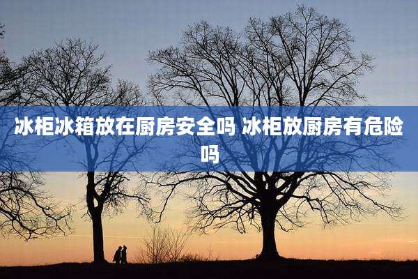 冰柜冰箱放在厨房安全吗 冰柜放厨房有危险吗