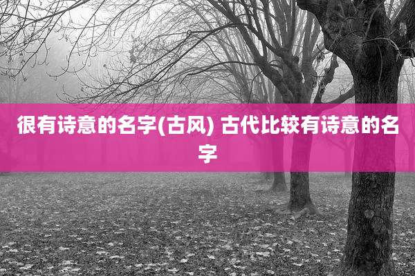 很有诗意的名字(古风) 古代比较有诗意的名字