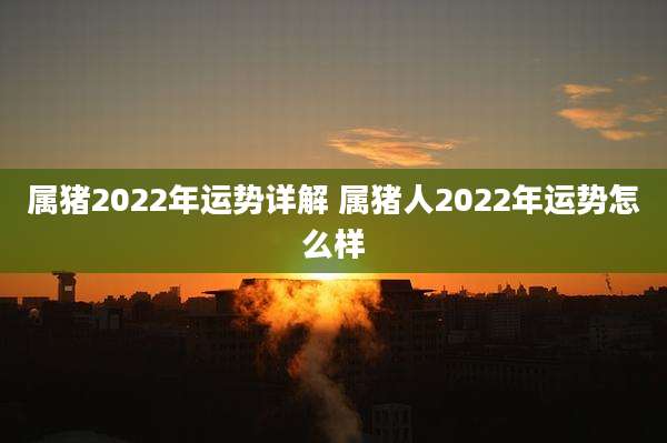 属猪2022年运势详解 属猪人2022年运势怎么样