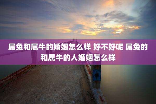 属兔和属牛的婚姻怎么样 好不好呢 属兔的和属牛的人婚姻怎么样