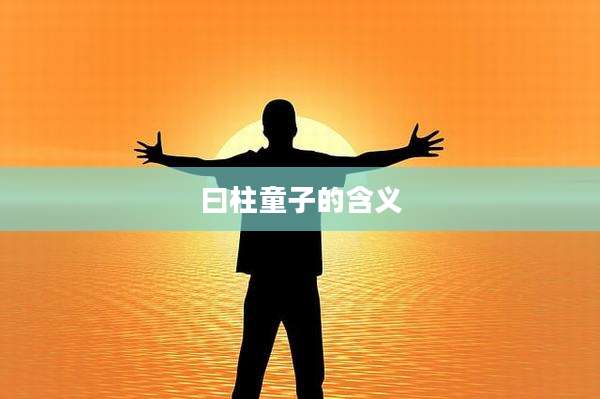 曰柱童子的含义