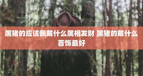 属猪的应该佩戴什么属相发财 属猪的戴什么首饰最好