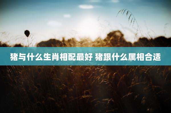 猪与什么生肖相配最好 猪跟什么属相合适
