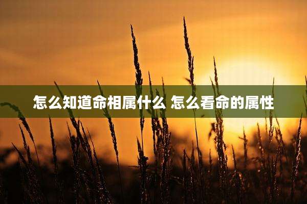 怎么知道命相属什么 怎么看命的属性