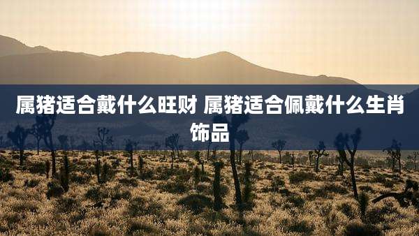 属猪适合戴什么旺财 属猪适合佩戴什么生肖饰品