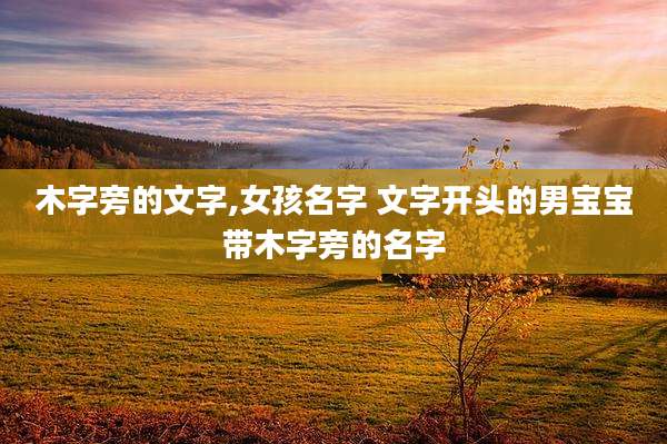 木字旁的文字,女孩名字 文字开头的男宝宝带木字旁的名字
