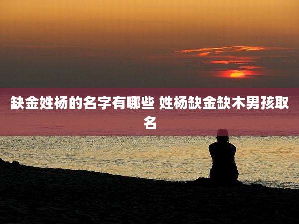 缺金姓杨的名字有哪些 姓杨缺金缺木男孩取名