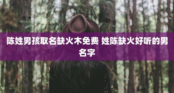 陈姓男孩取名缺火木免费 姓陈缺火好听的男名字