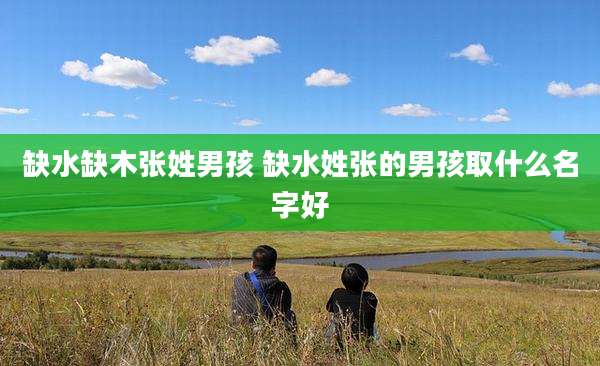 缺水缺木张姓男孩 缺水姓张的男孩取什么名字好