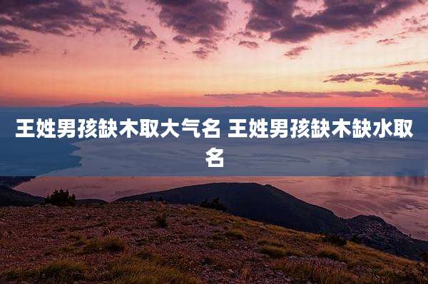王姓男孩缺木取大气名 王姓男孩缺木缺水取名