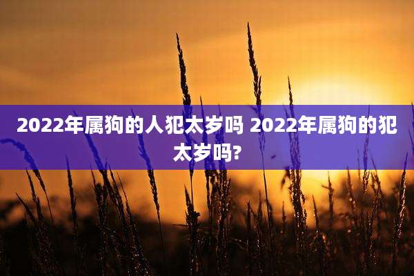 2022年属狗的人犯太岁吗 2022年属狗的犯太岁吗?