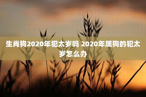 生肖狗2020年犯太岁吗 2020年属狗的犯太岁怎么办