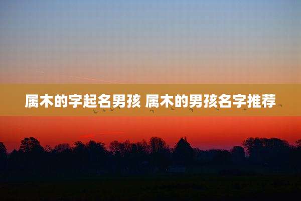 属木的字起名男孩 属木的男孩名字推荐