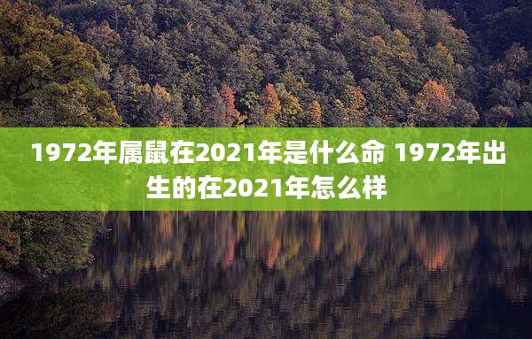 1972年属鼠在2021年是什么命 1972年出生的在2021年怎么样