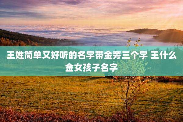 王姓简单又好听的名字带金旁三个字 王什么金女孩子名字