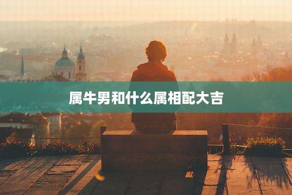 属牛男和什么属相配大吉