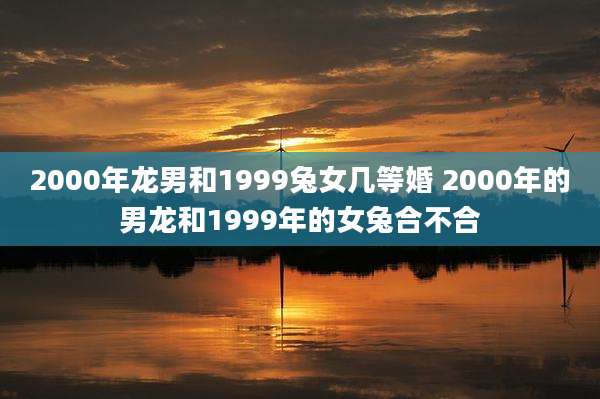 2000年龙男和1999兔女几等婚 2000年的男龙和1999年的女兔合不合