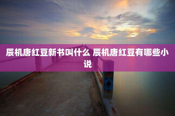 辰机唐红豆新书叫什么 辰机唐红豆有哪些小说