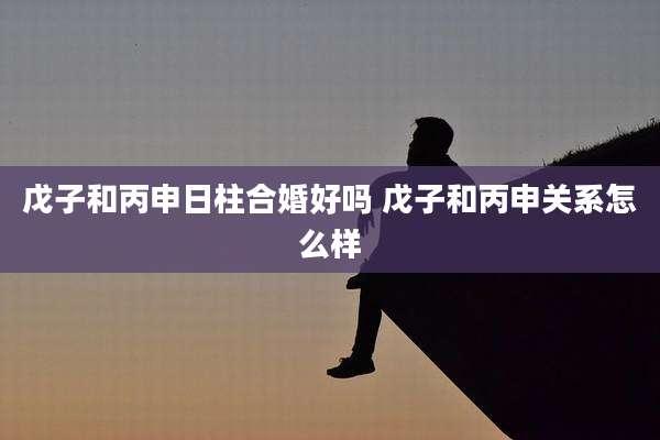 戊子和丙申日柱合婚好吗 戊子和丙申关系怎么样