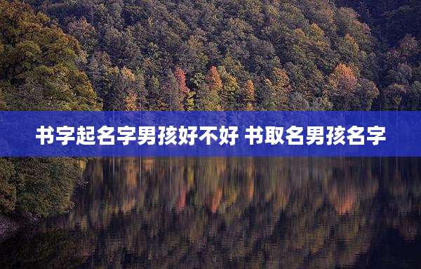 书字起名字男孩好不好 书取名男孩名字