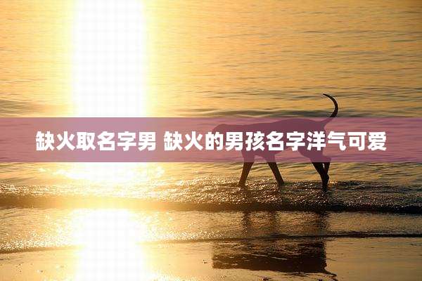 缺火取名字男 缺火的男孩名字洋气可爱