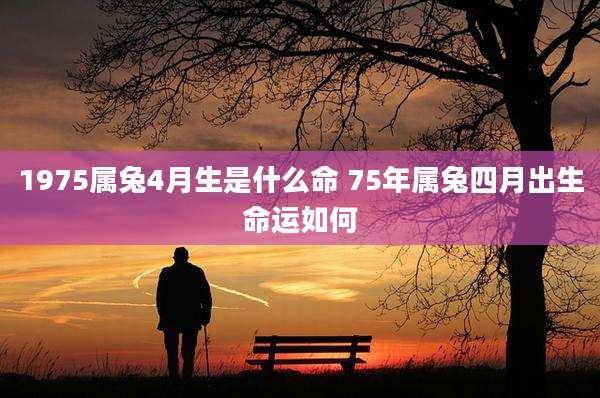 1975属兔4月生是什么命 75年属兔四月出生命运如何