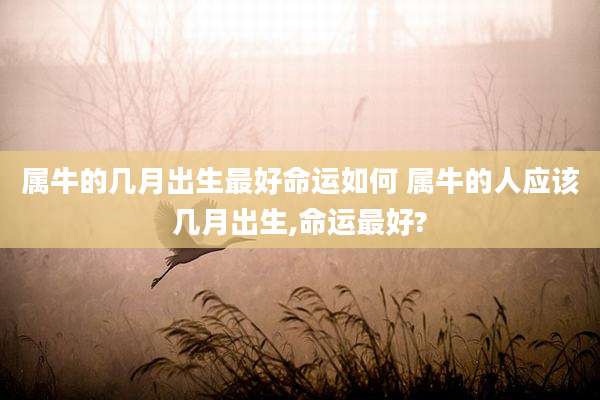 属牛的几月出生最好命运如何 属牛的人应该几月出生,命运最好?