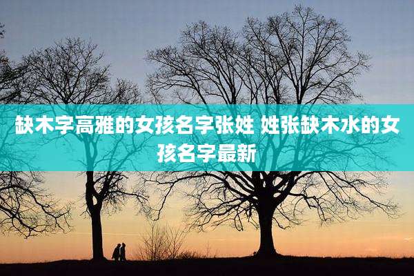 缺木字高雅的女孩名字张姓 姓张缺木水的女孩名字最新