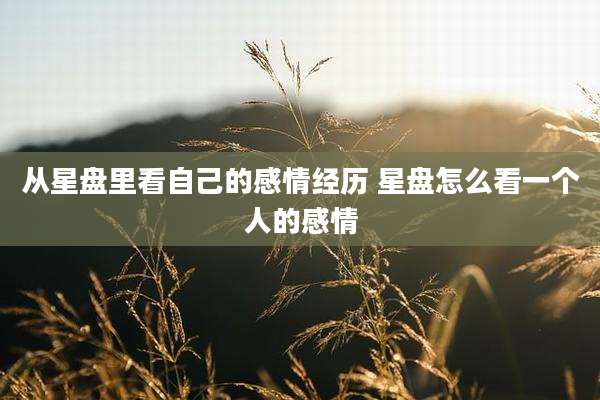 从星盘里看自己的感情经历 星盘怎么看一个人的感情