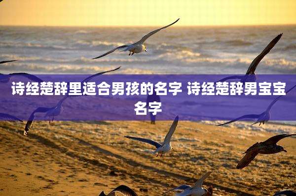 诗经楚辞里适合男孩的名字 诗经楚辞男宝宝名字