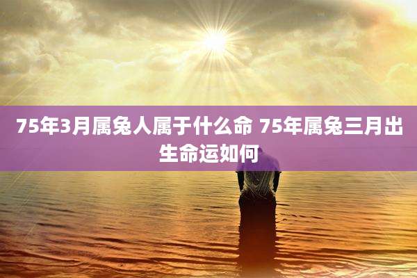 75年3月属兔人属于什么命 75年属兔三月出生命运如何