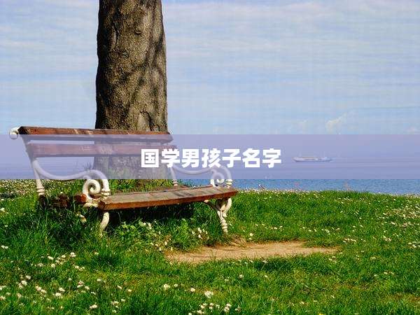 国学男孩子名字