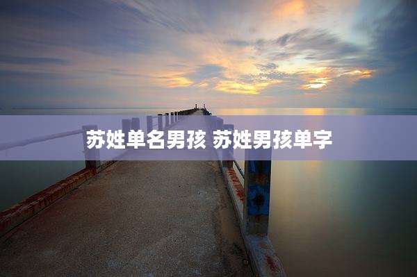 苏姓单名男孩 苏姓男孩单字