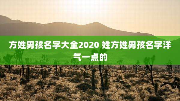 方姓男孩名字大全2020 姓方姓男孩名字洋气一点的