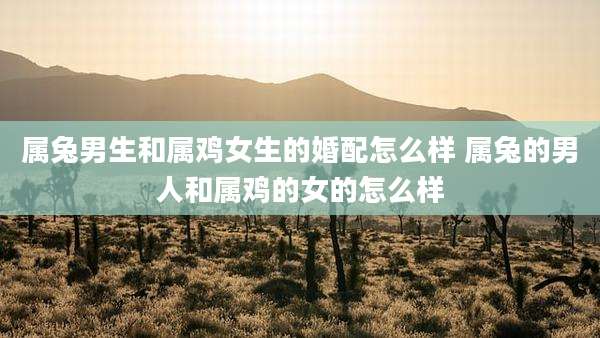 属兔男生和属鸡女生的婚配怎么样 属兔的男人和属鸡的女的怎么样