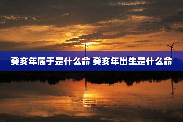 癸亥年属于是什么命 癸亥年出生是什么命