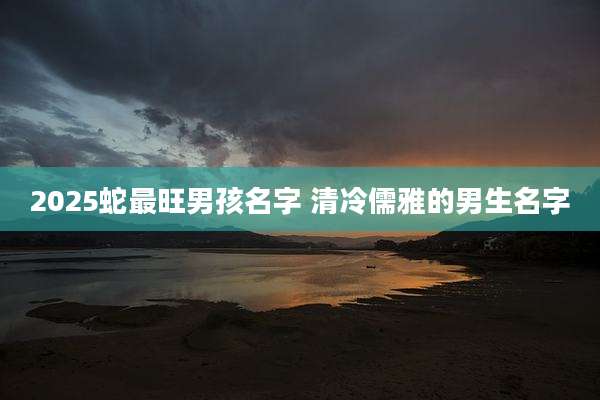 2025蛇最旺男孩名字 清冷儒雅的男生名字