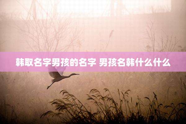 韩取名字男孩的名字 男孩名韩什么什么