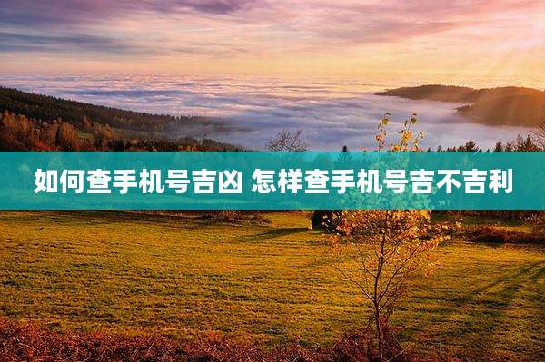 如何查手机号吉凶 怎样查手机号吉不吉利