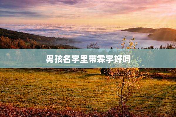 男孩名字里带霖字好吗