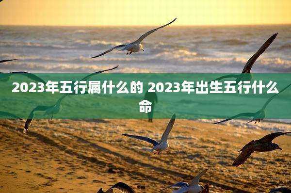 2023年五行属什么的 2023年出生五行什么命