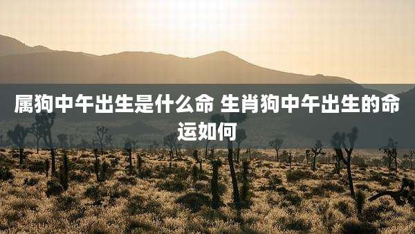 属狗中午出生是什么命 生肖狗中午出生的命运如何
