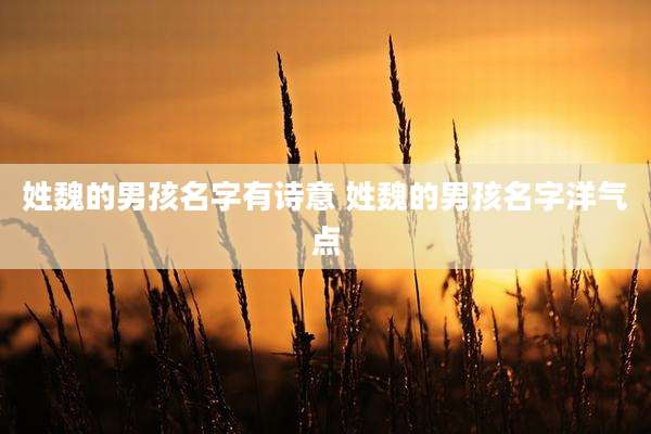 姓魏的男孩名字有诗意 姓魏的男孩名字洋气点