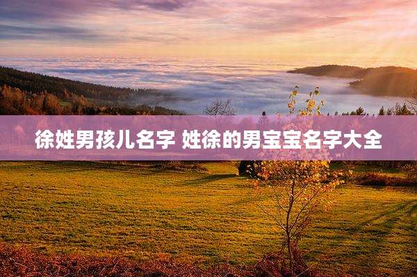 徐姓男孩儿名字 姓徐的男宝宝名字大全