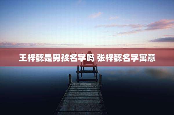 王梓懿是男孩名字吗 张梓懿名字寓意