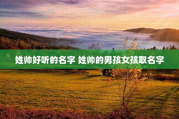 姓帅好听的名字 姓帅的男孩女孩取名字