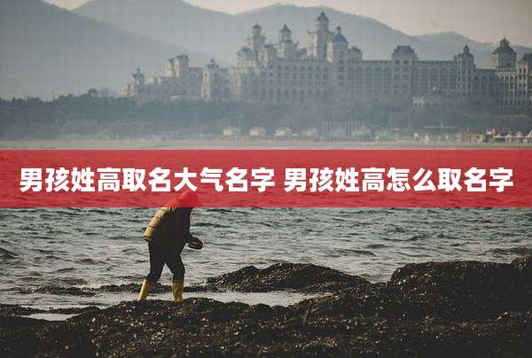 男孩姓高取名大气名字 男孩姓高怎么取名字