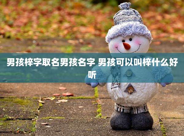 男孩梓字取名男孩名字 男孩可以叫梓什么好听