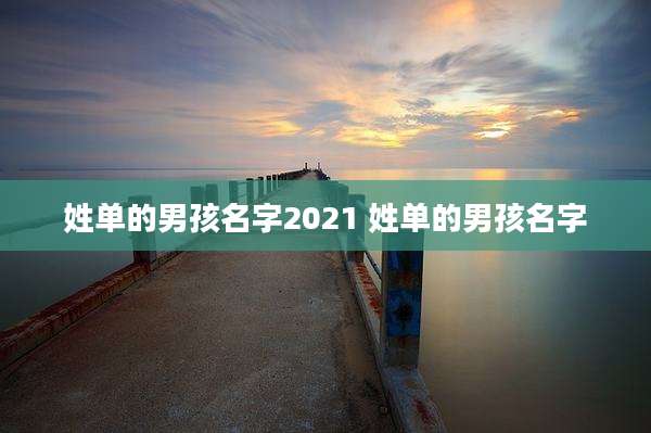 姓单的男孩名字2021 姓单的男孩名字