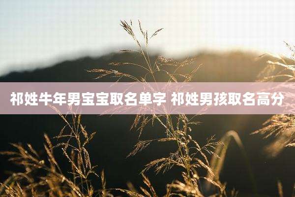 祁姓牛年男宝宝取名单字 祁姓男孩取名高分